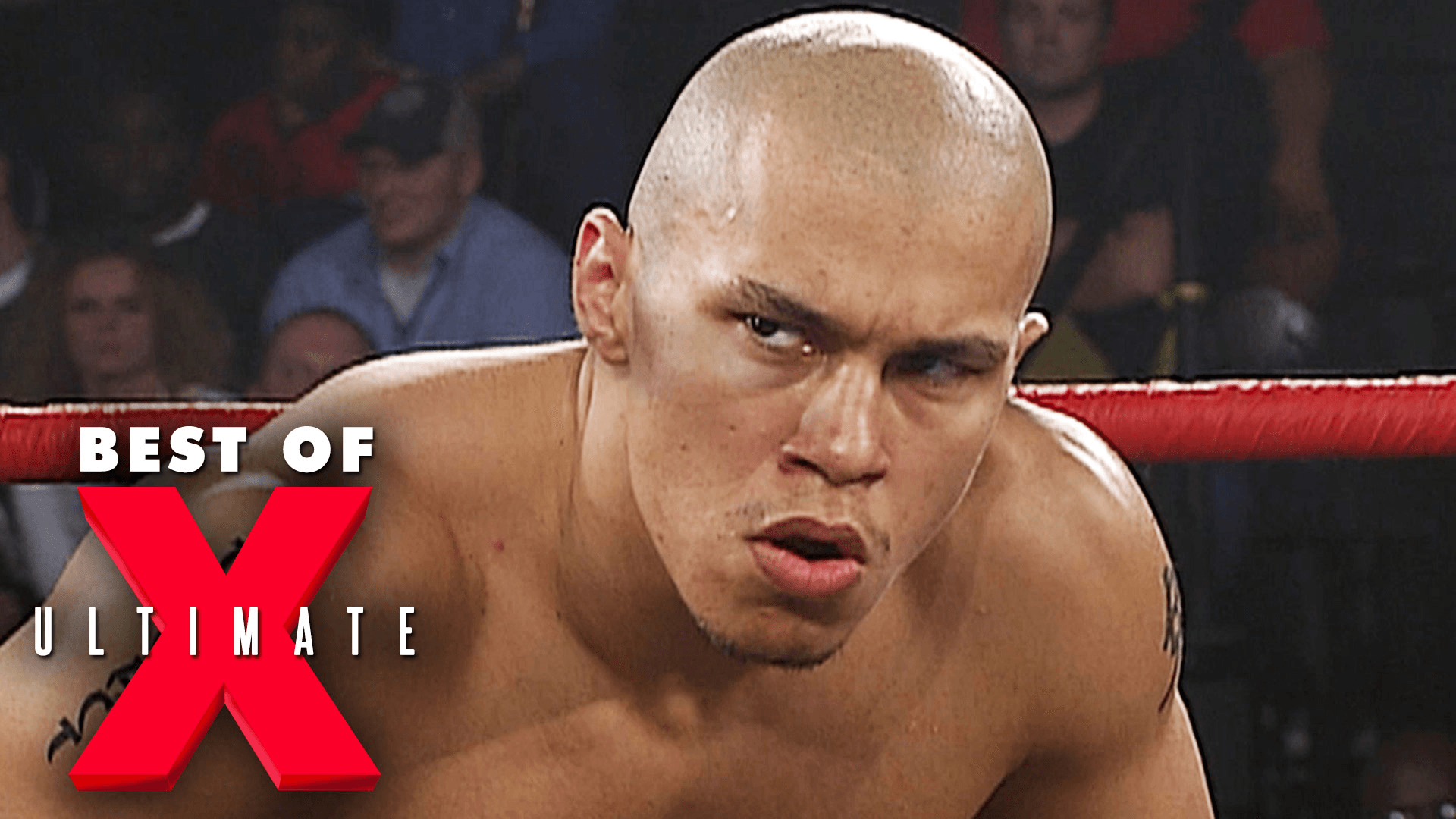 michael-shane-vs-christopher-daniels-vs-low-ki-vs-chris-sabin-nwa-tna