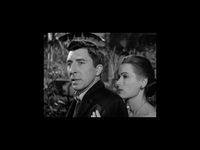 The Return Of Mitchell Campion