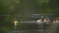 Whitewater Kayaking The Ottawa River